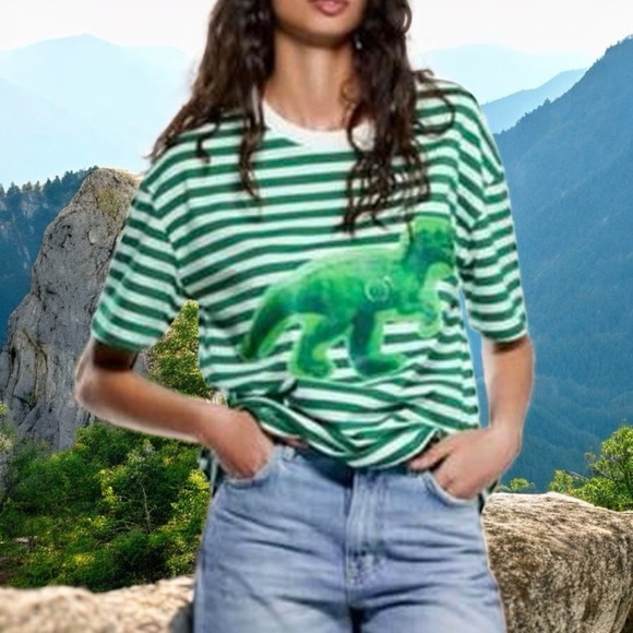 Zara Tops - NEW Zara Dinosaur and Stripe Tee Novelty Comfort Fun Quirky Camp L